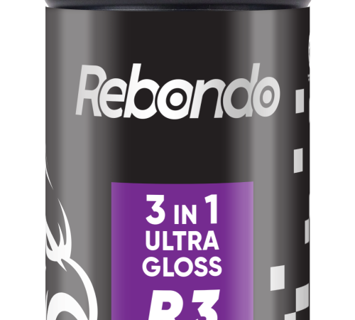 R3